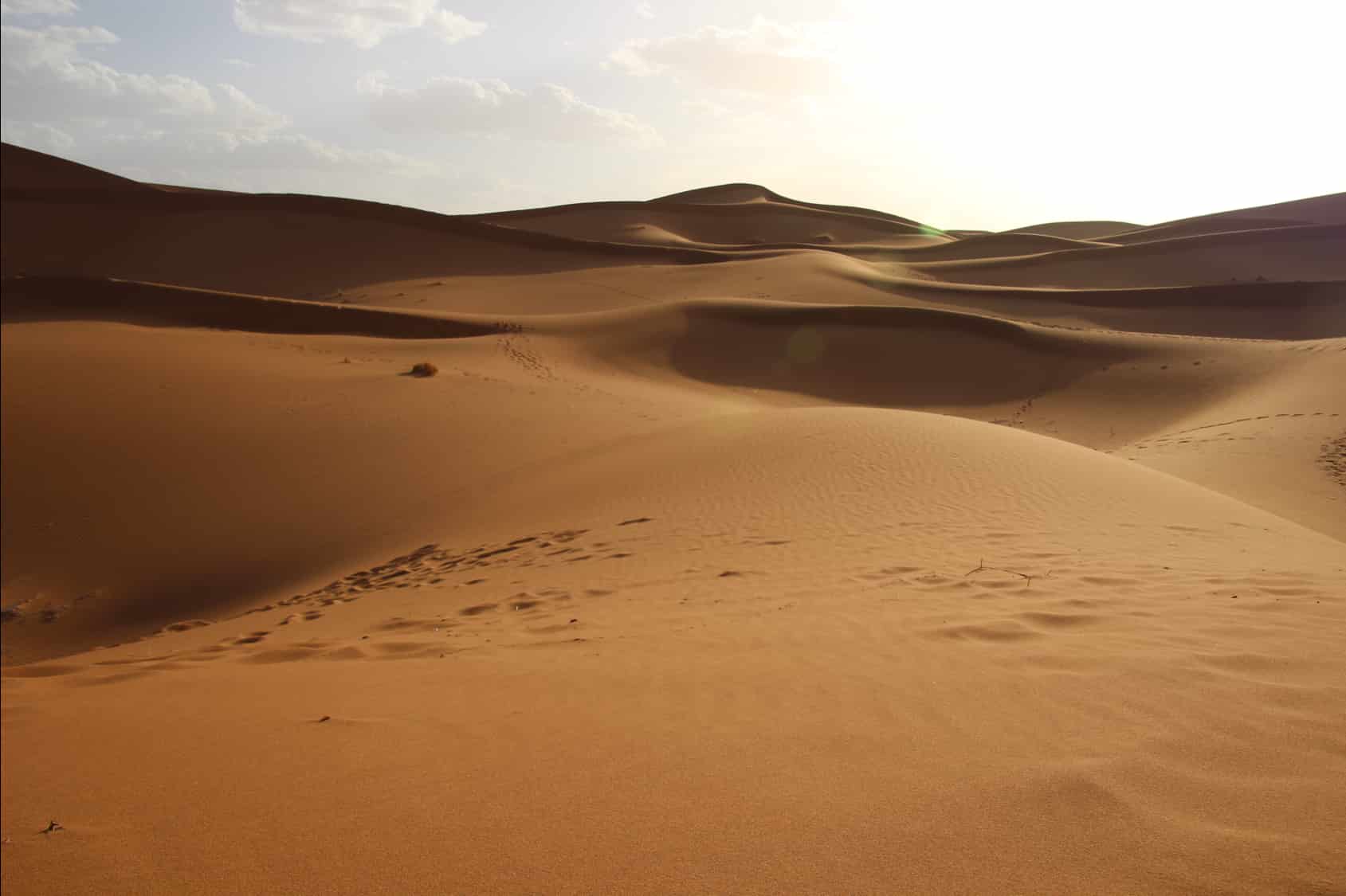 The endless desert