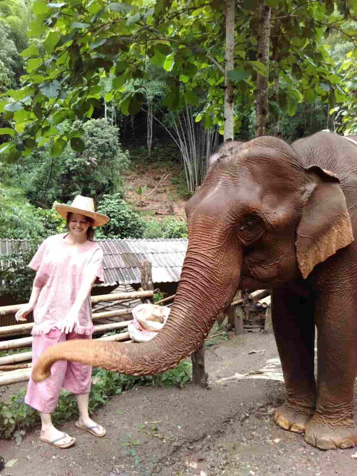 Me feeding an elephant